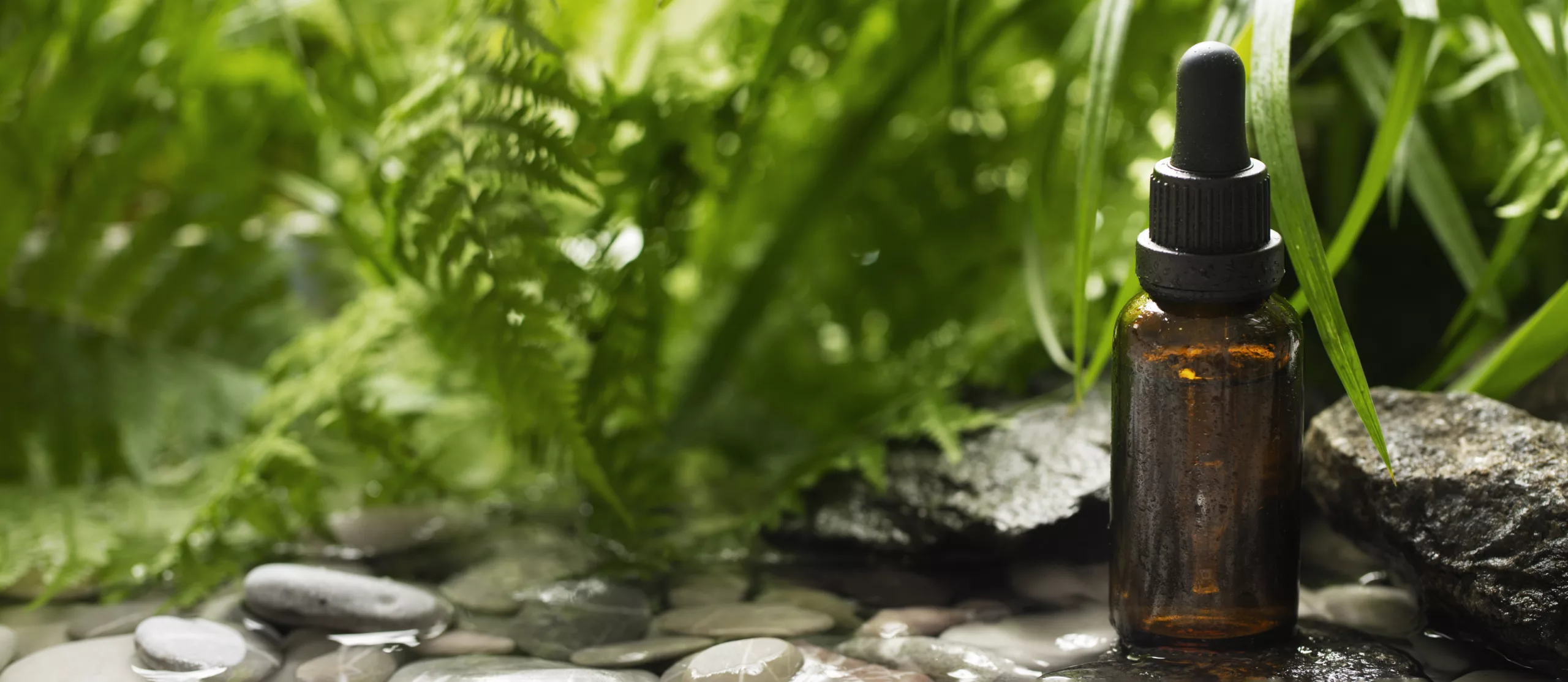 diseno elegante de banner para el cuidado de la piel